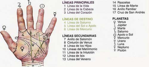 líneas de la mano