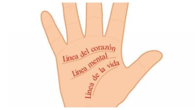 líneas de la mano