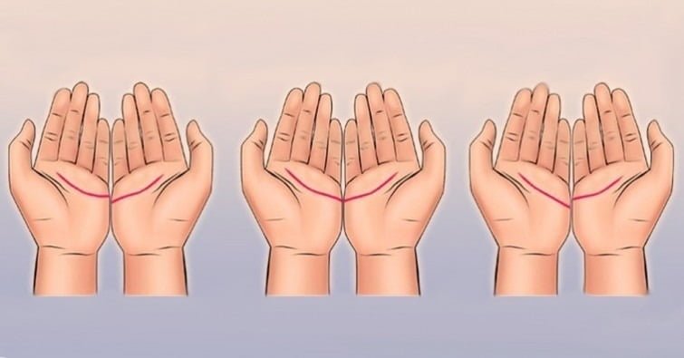 líneas de la mano
