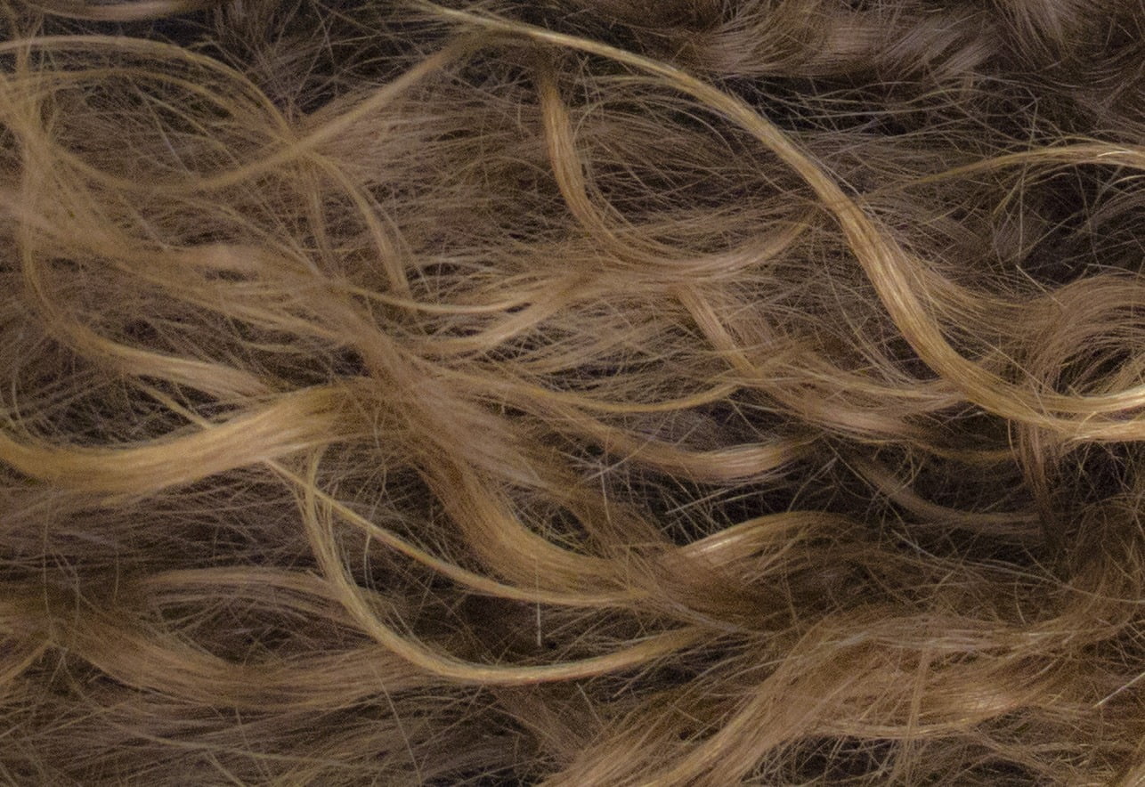 Hechizo del cabello